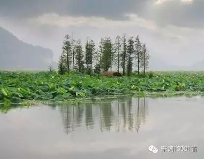 酒泉子(十之三)