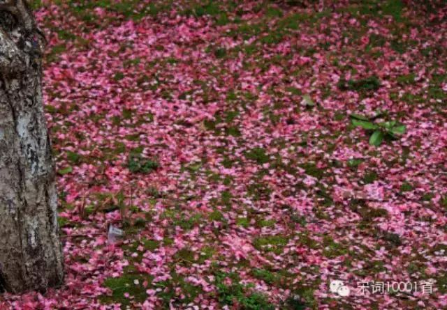 蝶恋花·庭院深深深几许