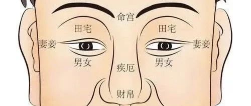 面相十二宫简介（富贵在天，富看鼻，贵看眼）