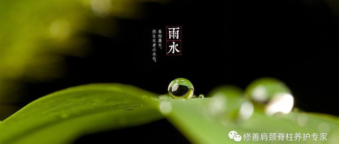 雨水时令养生要点