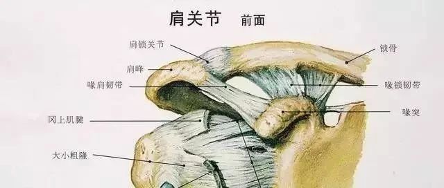 五个小动作，缓解肩周炎