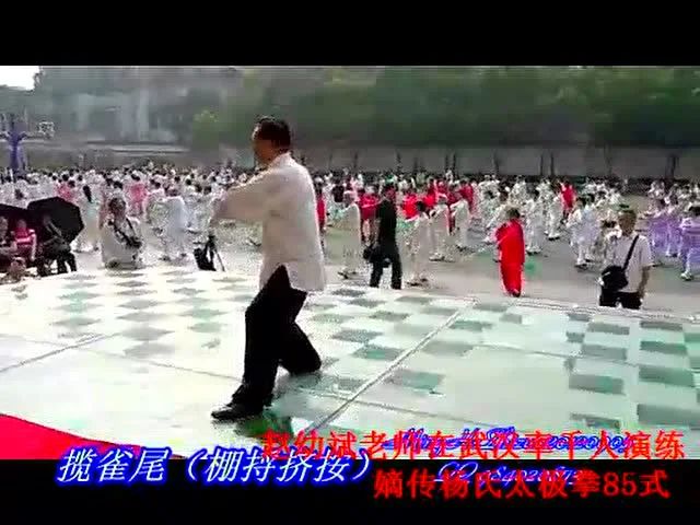 赵幼斌老师在武汉率千人演练嫡传杨氏太极拳85式！