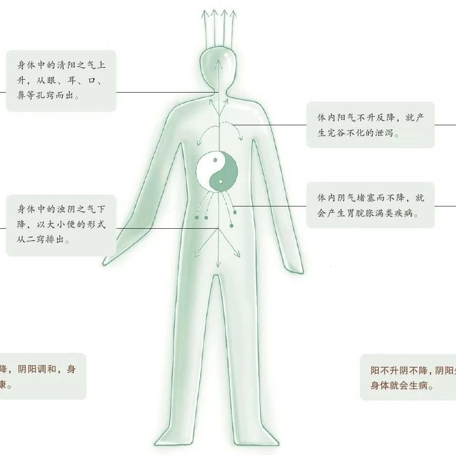 中医养生学的基本原则