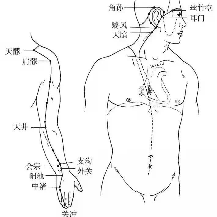 人体十二经脉 | 手少阳三焦经