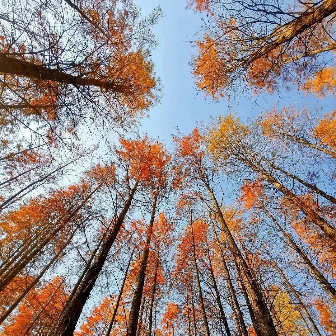 周易占卜 | 六爻预测学《增删卜易》投行损益章