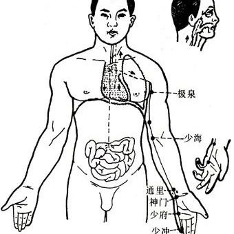 人体十二经脉 | 手少阴心经