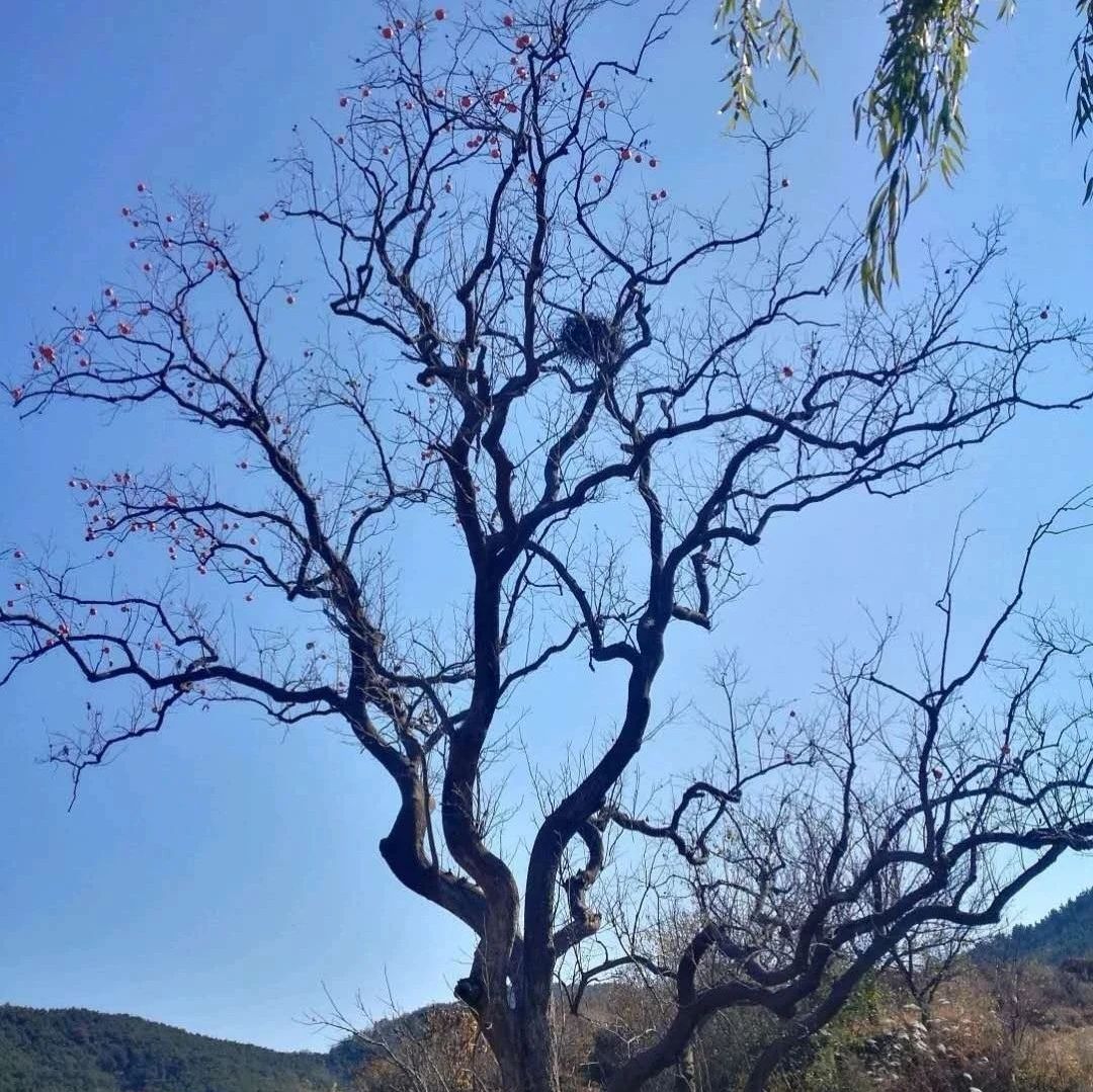 周易命理 |《三命通会》搜髓歌、骨髓歌