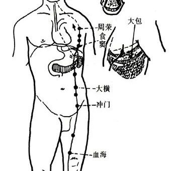 人体十二经脉 | 足太阴脾经