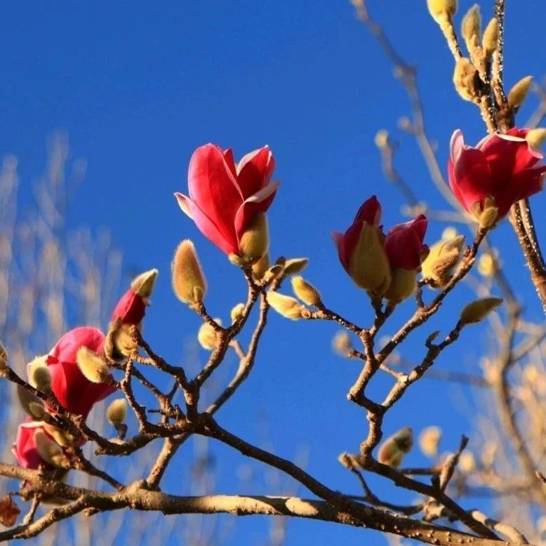 祸福无门，惟人自召；善恶之报，如影随形