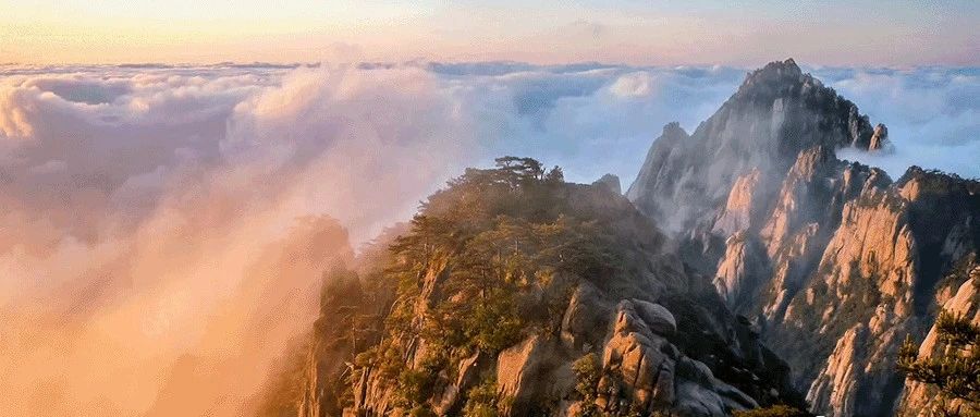 天干与地支的区别