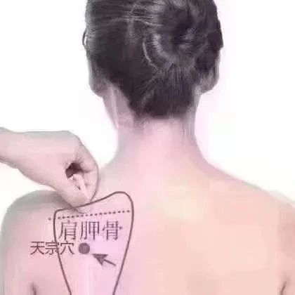 肩颈是人体第一命门，肩胛不通，有什么危害？