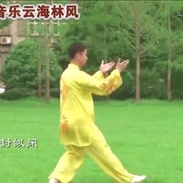 武当九宫太极拳，太极音乐《云海林风》，陶醉了！