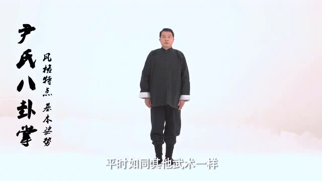 尹氏八卦掌特点讲解 王尚智老师