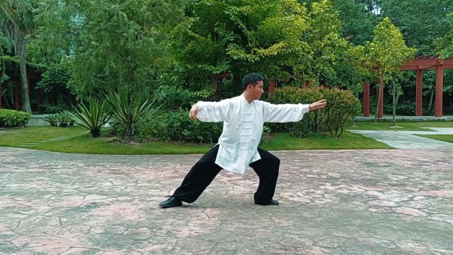 传统杨式太极拳85式（完整版），打得太棒了！