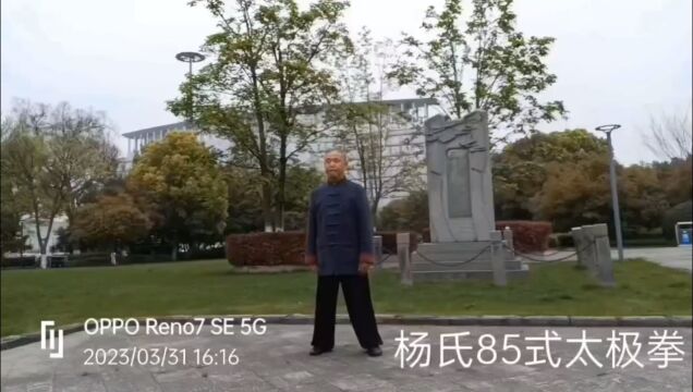 杨氏太极拳85式王连生演练