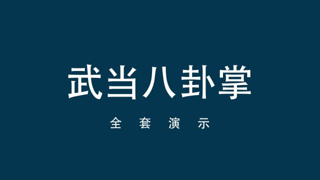 武当八卦掌全套演示