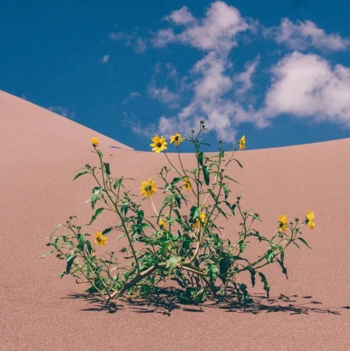 情商高的人：说话有边界感，懂得欣赏和赞美别人