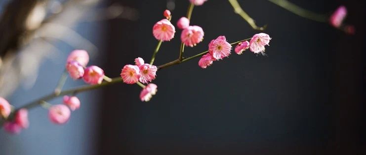 新的一年，心要简单，人要糊涂