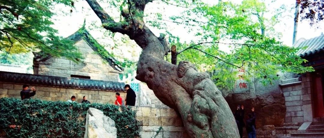 崂山道士说：福地福人居，如何才能打造风水福地