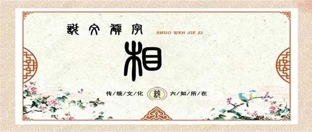 说文解字——相