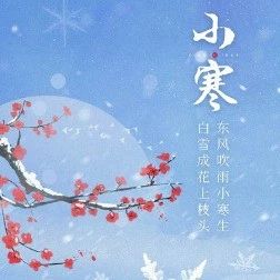 节气养生|小寒：大雁北归，腊梅斗雪