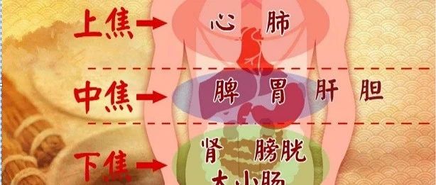 疏通“三焦”，无病一身轻松