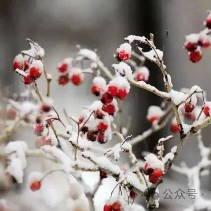 习俗知多少-腊月至，5事不要做！