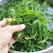 这种野菜是痛风的“死对头”，越吃眼睛越明亮，老少皆宜，营养美味！