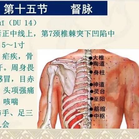 针灸这五穴，可迅速退烧！