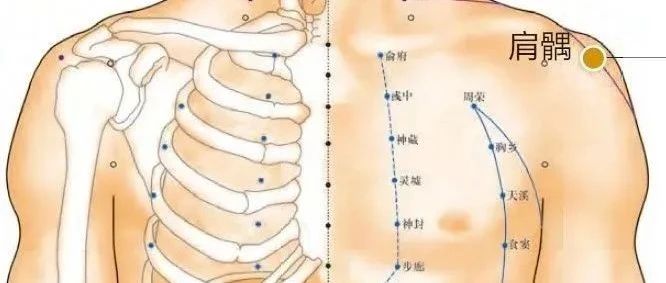 针灸上病下治：18个上下对应而效用神奇的穴位