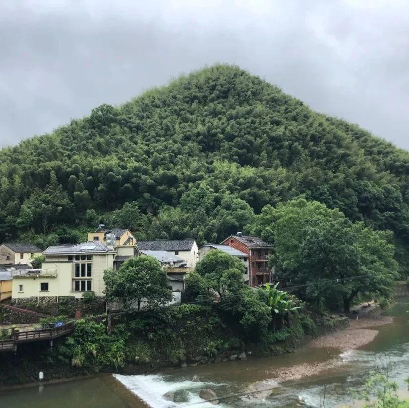 从智导师丨戒律