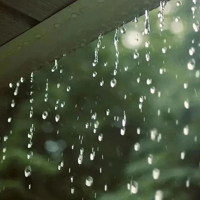 夏雨如诗，倚窗闲听