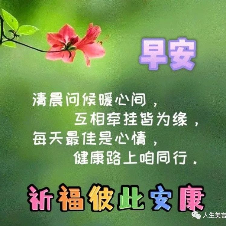 一天一句正能量早安问候，适合清晨发的祝福句子