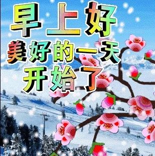 冬天的朋友圈文案，祝朋友冬日安康的表情图