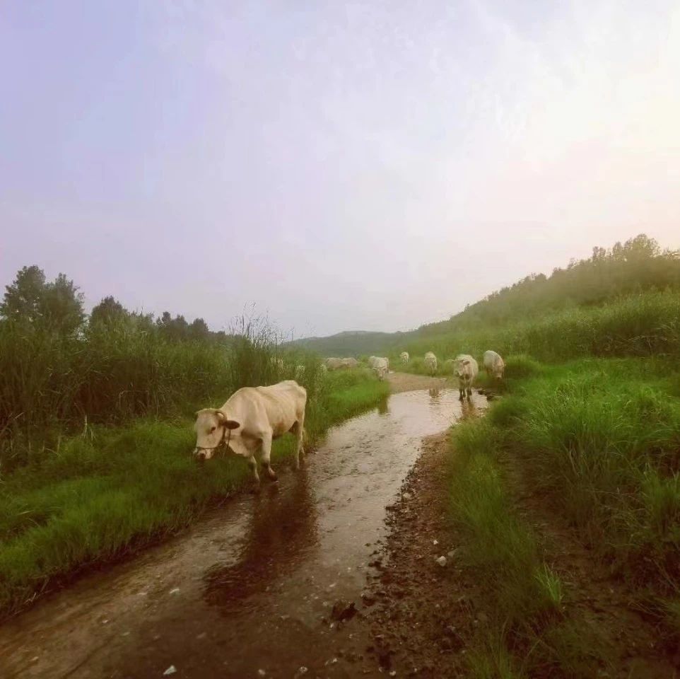 人生经典语句，适合生活感慨的文案