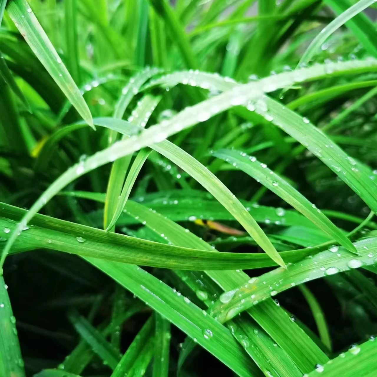 激励人上进的语录，高级感励志文案短句