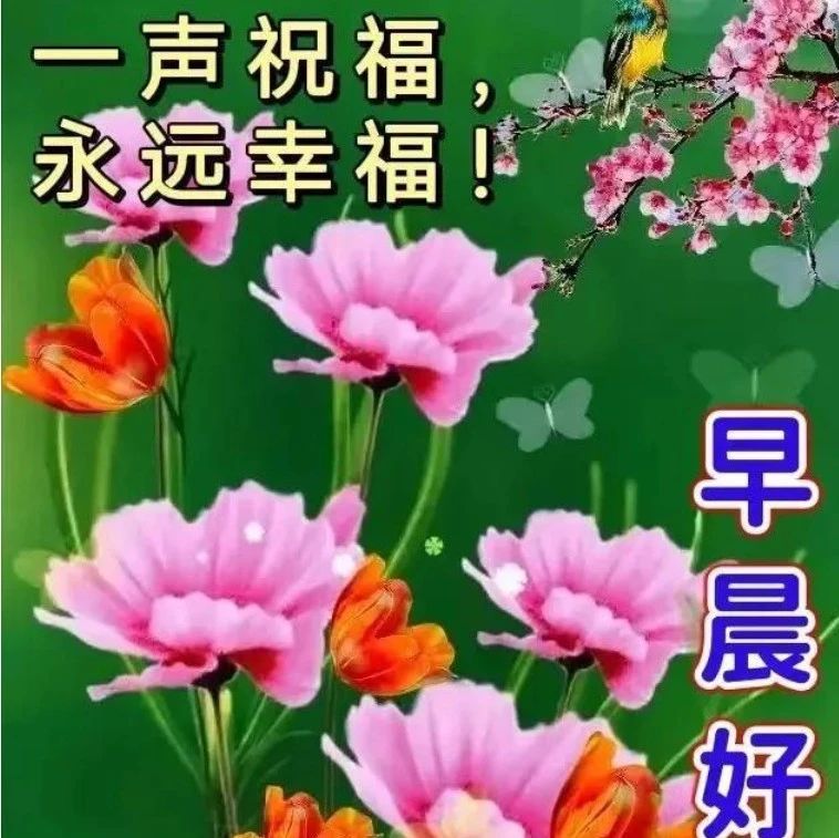 早安经典短句子，朋友圈早上好祝福文案