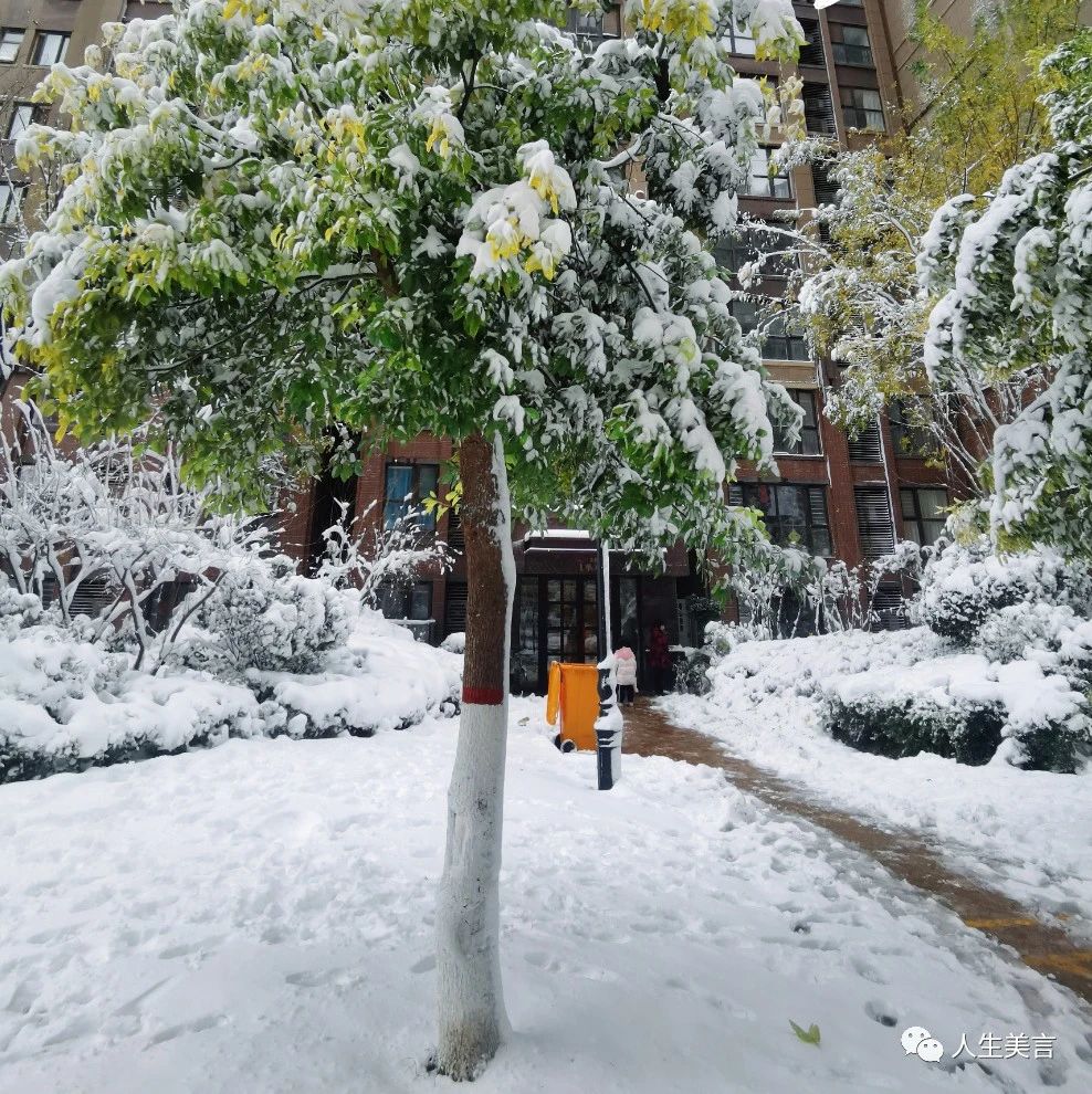 冬季天冷了早上好问候语，适合冬日发的文案