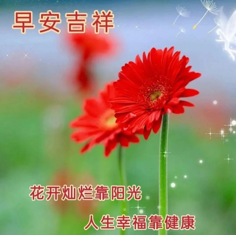 早晨暖心牵挂祝福语，清晨寄语每日一发