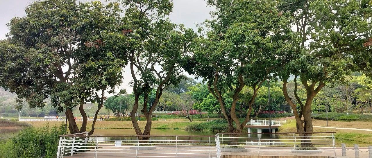 学王阳明语录（一四）：六经五史论春秋