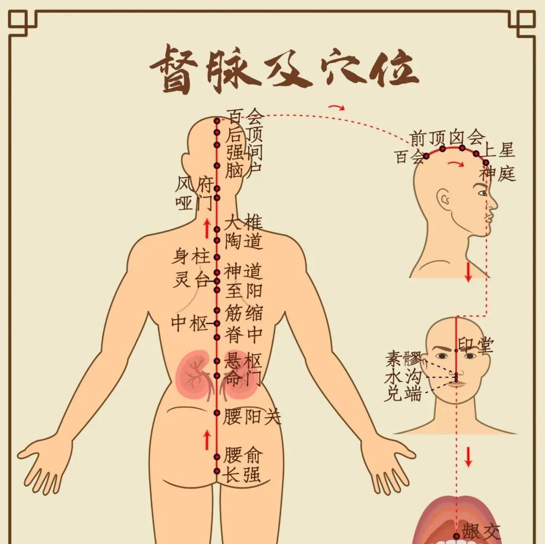 阳气产生于脾，根于肾，萌芽于肝！这个补阳妙法很简单！