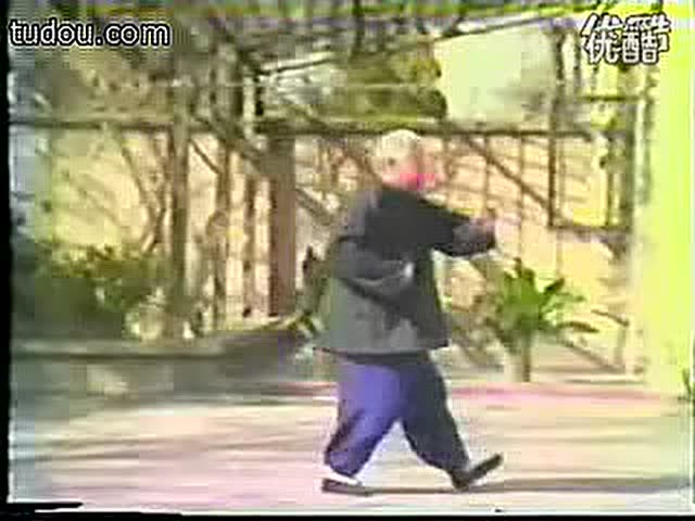 正宗传统杨氏85式太极拳（傅钟文）演练