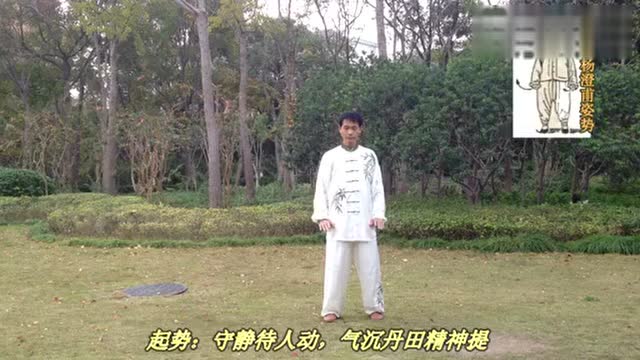 正宗杨澄甫势传统杨氏太极拳85式