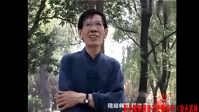 民间高手讲解混元桩