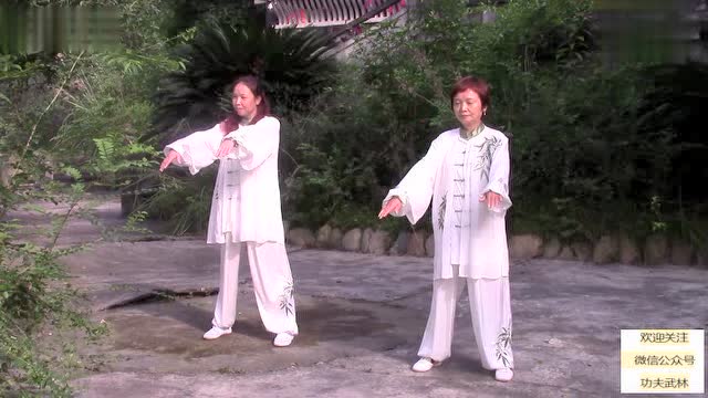 飘逸潇洒 两美女悠然打太极拳