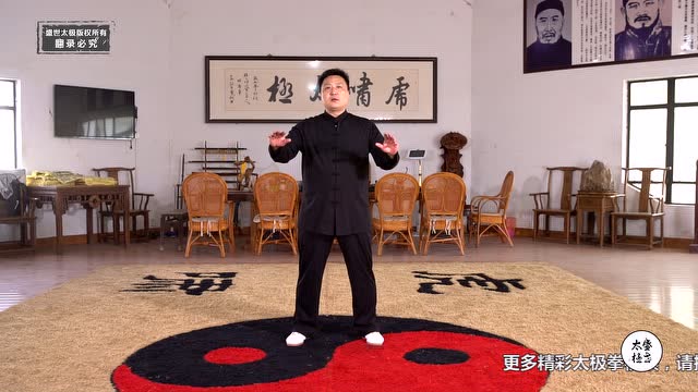 【独家】练太极拳如何气沉脚底？这个回答很妙