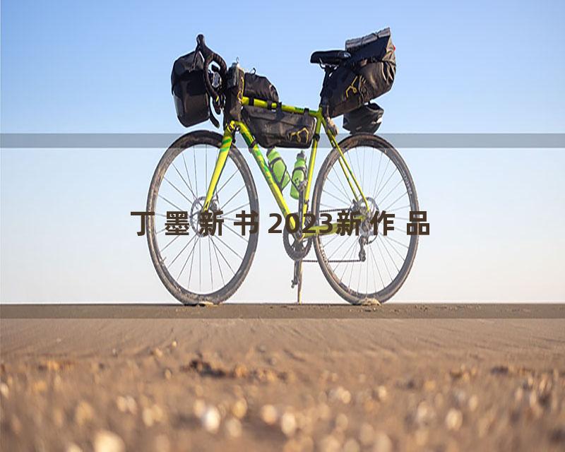 丁墨新书2023新作品