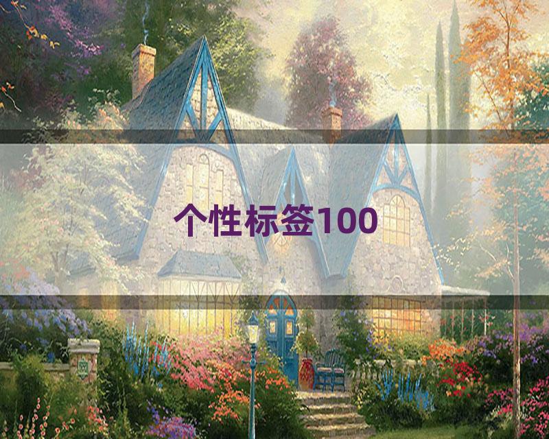 个性标签100