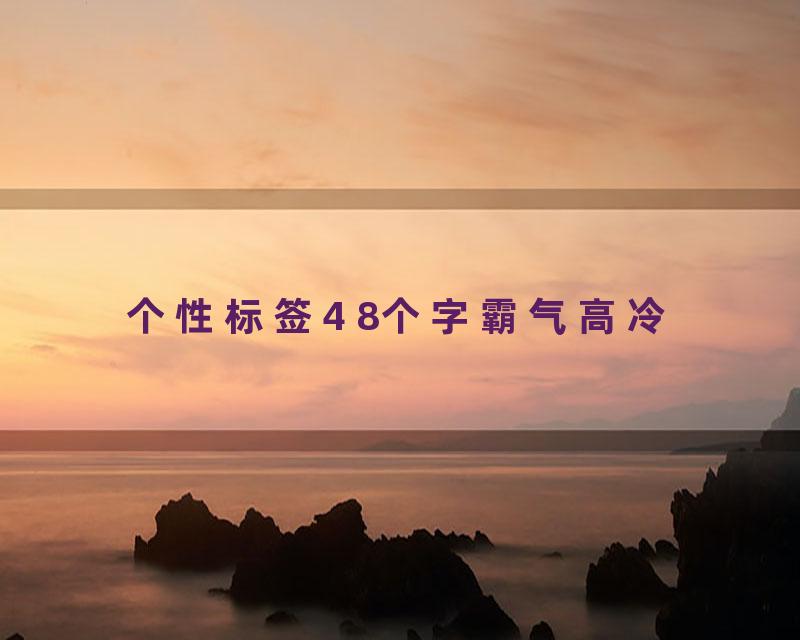 个性标签4 8个字霸气高冷