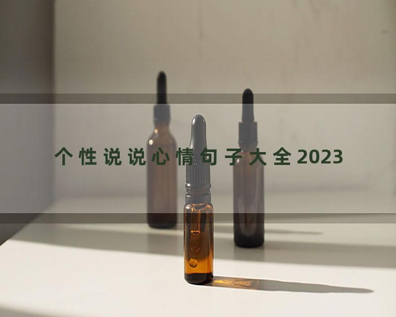 个性说说心情句子大全2023